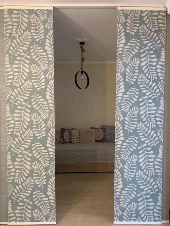 Thiseio Big Apartment アテネ エクステリア 写真